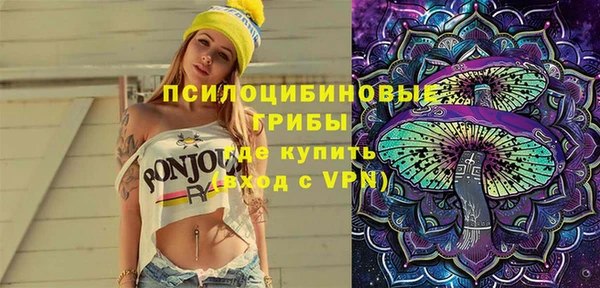 Альфа ПВП Пестово
